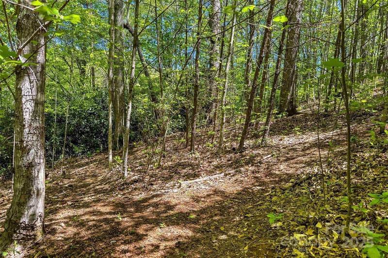 tbd Hunting Lodge Drive Apt 9, Black Mountain, NC -  - $144,000