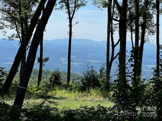 462 E Garden Trail Apt 37, Hendersonville, NC -  - $389,000