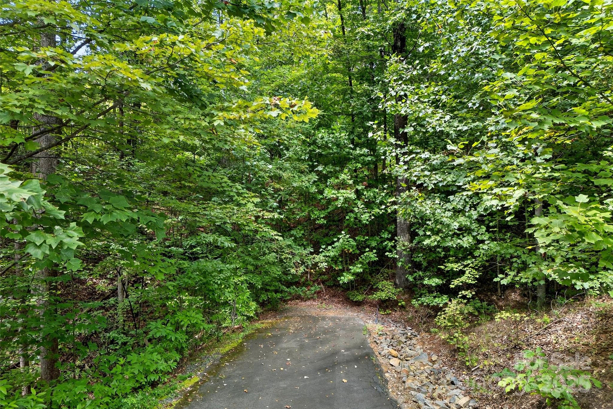100 Comet Falls Trail Apt 235, Black Mountain, NC. property listing photo