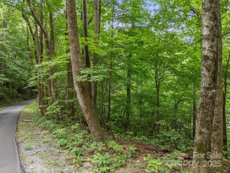 00 Mistletoe Park, Lake Lure, NC -  - $45,000