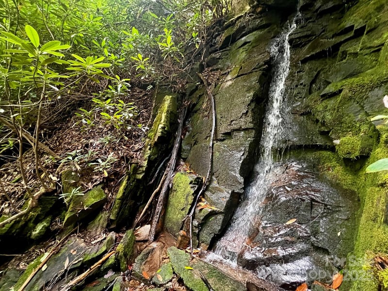 Lot 11 Silver Maple Trail, Brevard, NC -  - $69,000