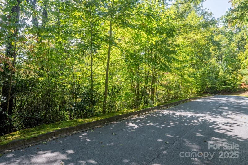 TBD Pine Mountain Trail M79, Brevard, NC -  - $75,000