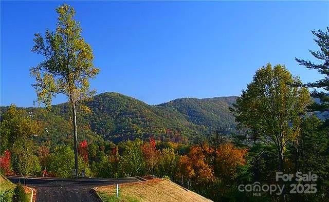 33 Grovepoint Way, Asheville, NC -  - $388,000