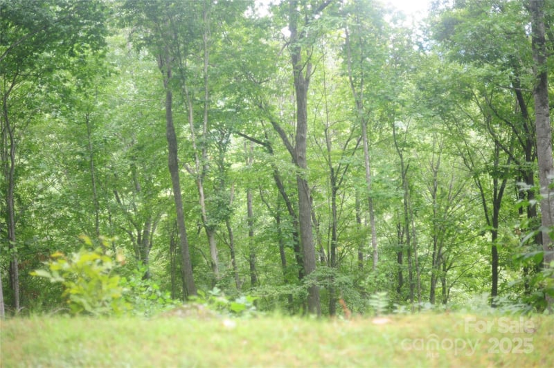 9 Wood Haven Lane Apt 108, Black Mountain, NC -  - $29,500