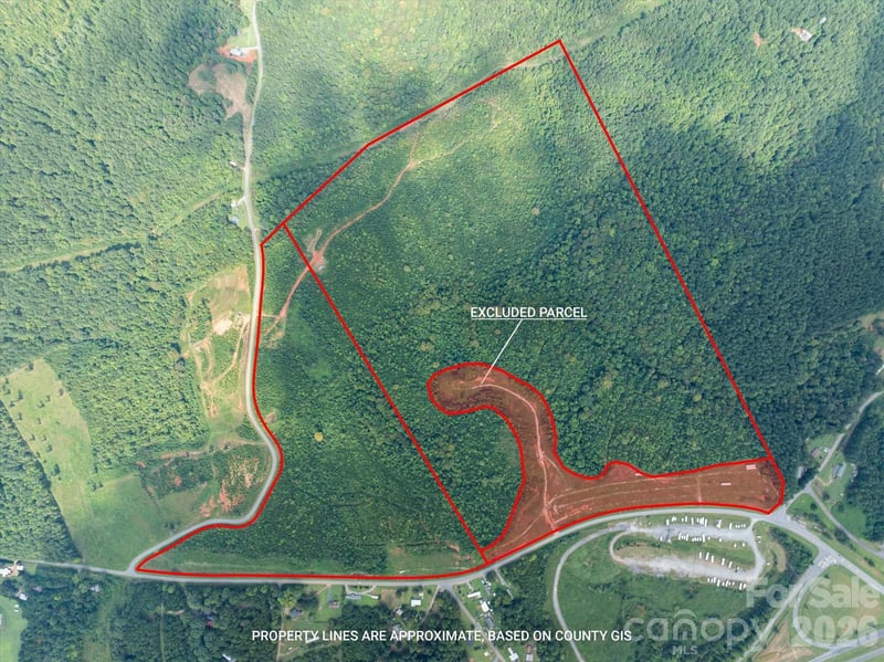 TBD Pea Ridge Road, Mill Spring, NC -  - $3,200,000