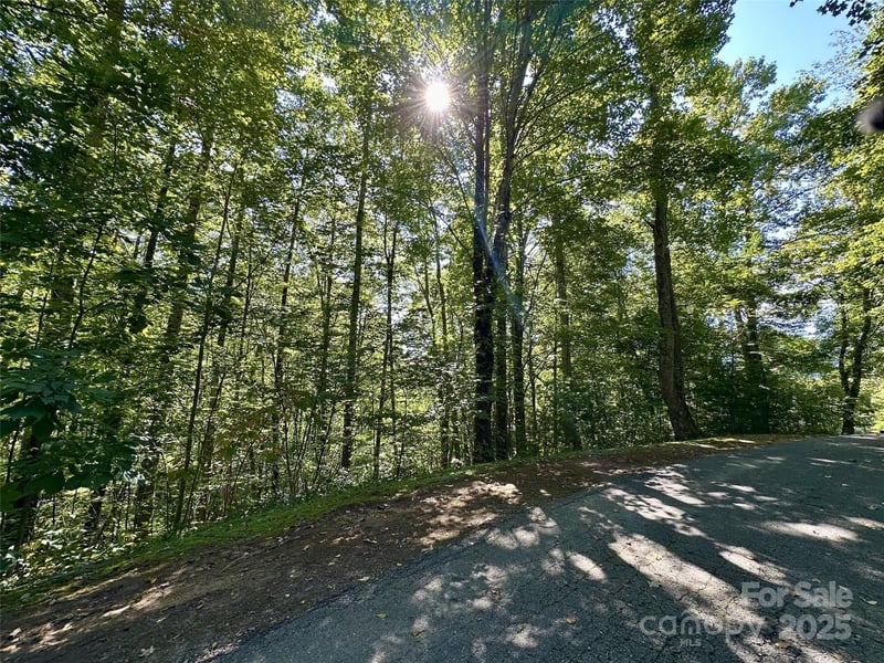 00 Loblolly Way C11, Maggie Valley, NC -  - $17,900
