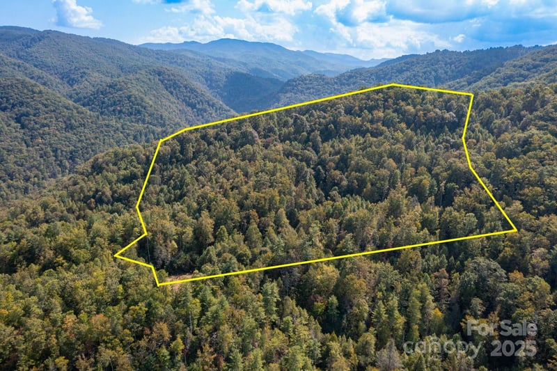 999 NC 209 Highway Apt 9, Hot Springs, NC -  - $199,900