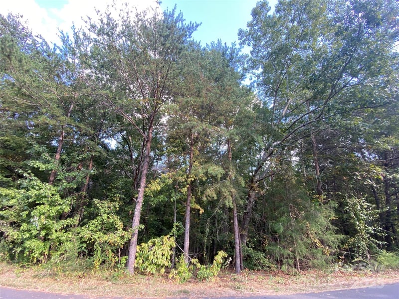 1301 Shadowfax Wynd None Apt 51, Hickory, NC -  - $46,000
