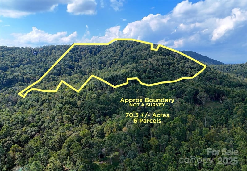89 White Oak Gap Road, Asheville, NC -  - $1,490,000