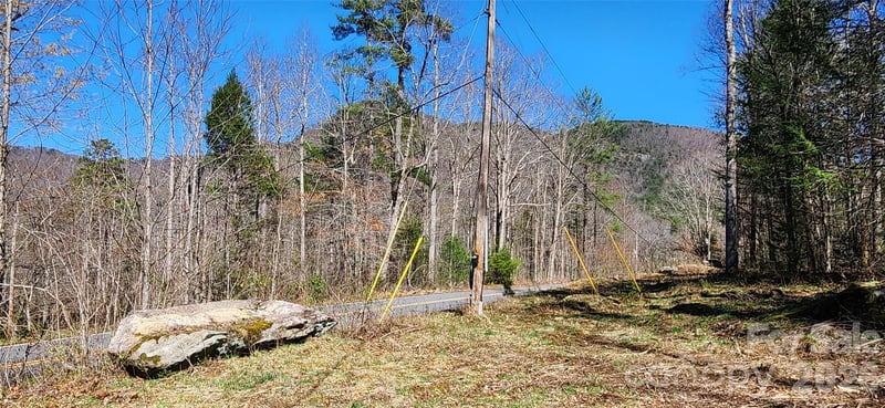0 Buffalo Creek Road Apt 74, Lake Lure, NC -  - $39,900