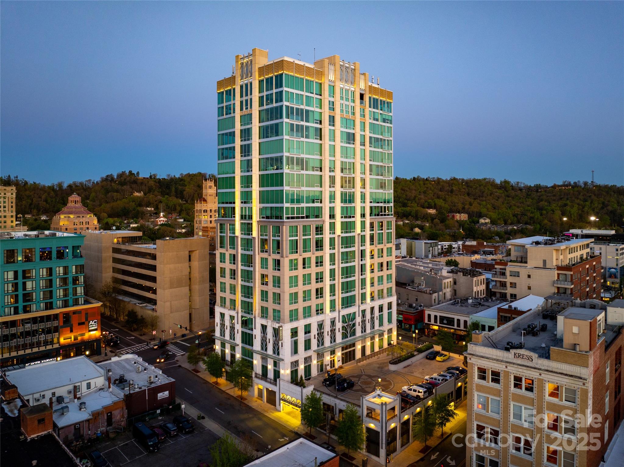 7 Patton Avenue Apt 1207, Asheville, NC. property listing photo