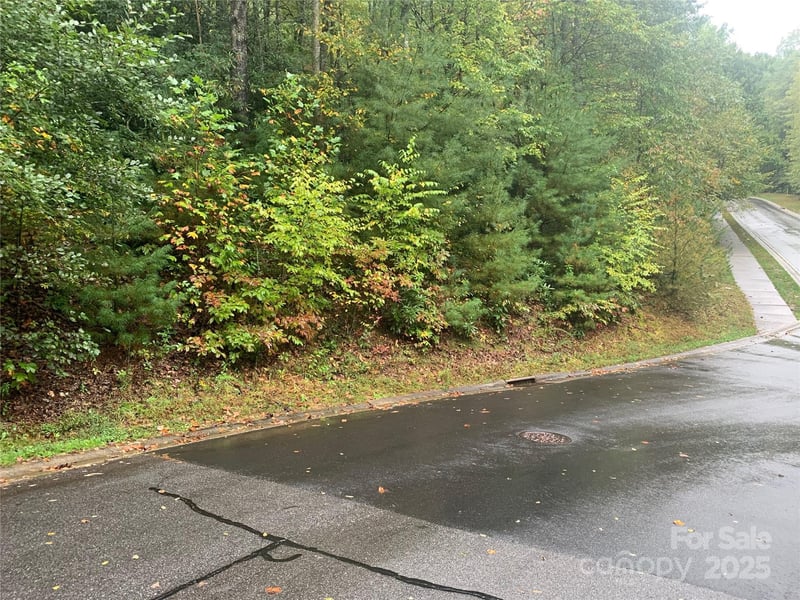 208 Settings Boulevard Apt 248, Black Mountain, NC -  - $109,000