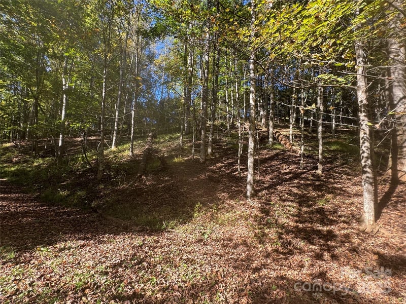 9 Susanna Cove, Mars Hill, NC -  - $50,000