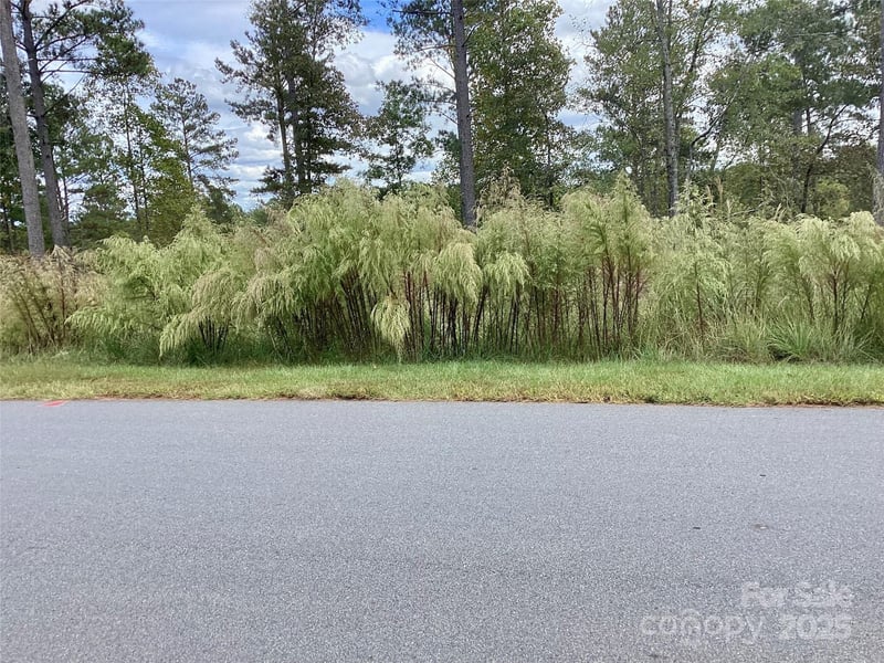 1818 Jumping Run Apt 22, Connelly Springs, NC -  - $118,000