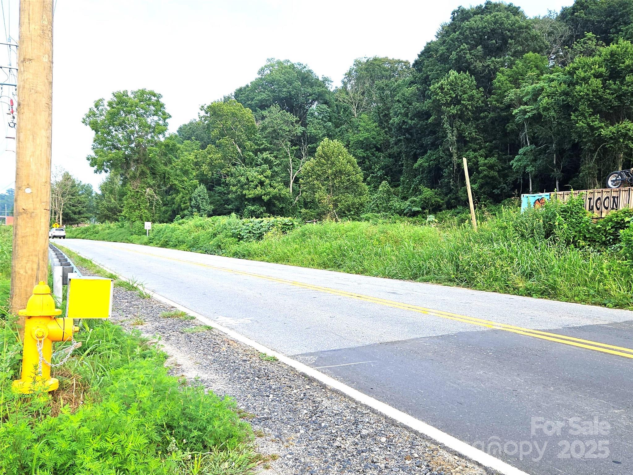 0 Swannanoa River Road, Asheville, NC. property listing photo
