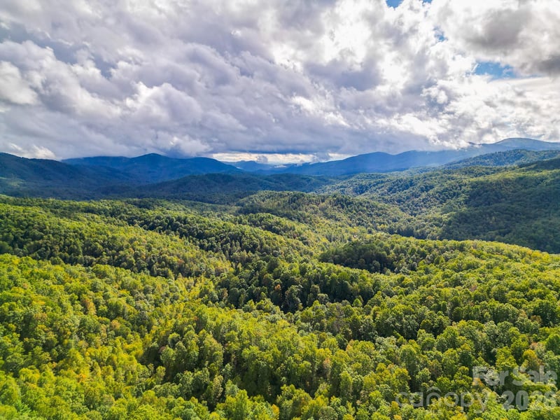 99999 Forest Brook Drive, Black Mountain, NC -  - $475,000