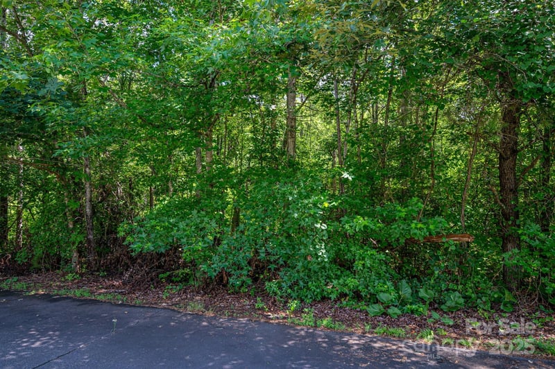 Lot 32 Line Drive, Forest City, NC -  - $32,500