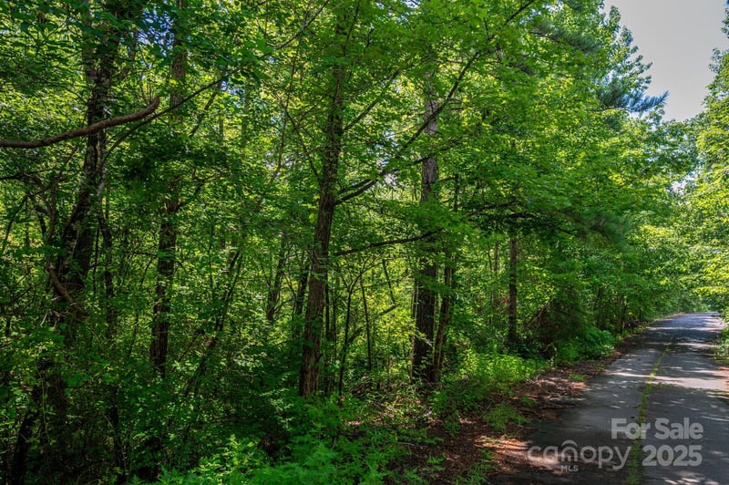 Lot 31 Line Drive, Forest City, NC -  - $35,800