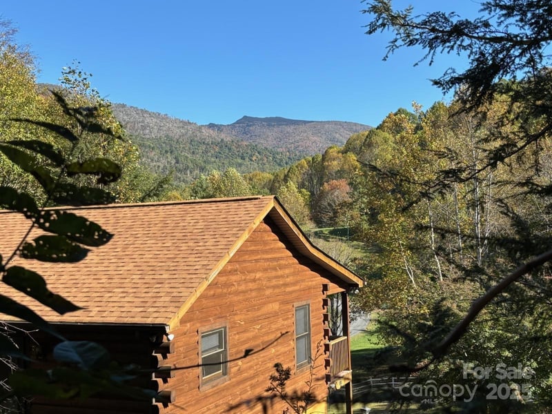 408 Dora Lane, Bakersville, NC - 3 beds, 2 baths, 1,800 sqft - $389,000