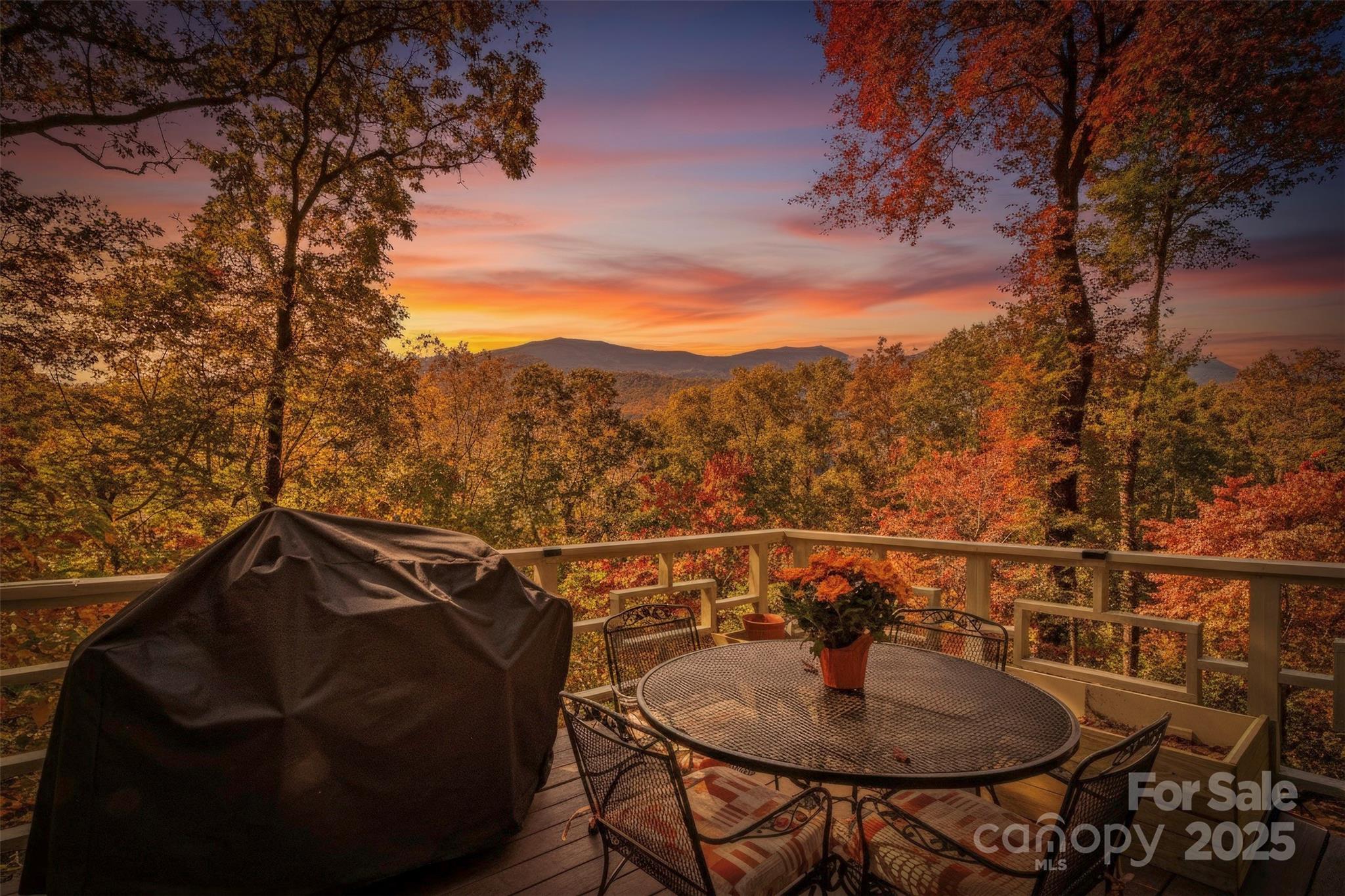 354 Big Ridge Road, Burnsville, NC. property listing photo