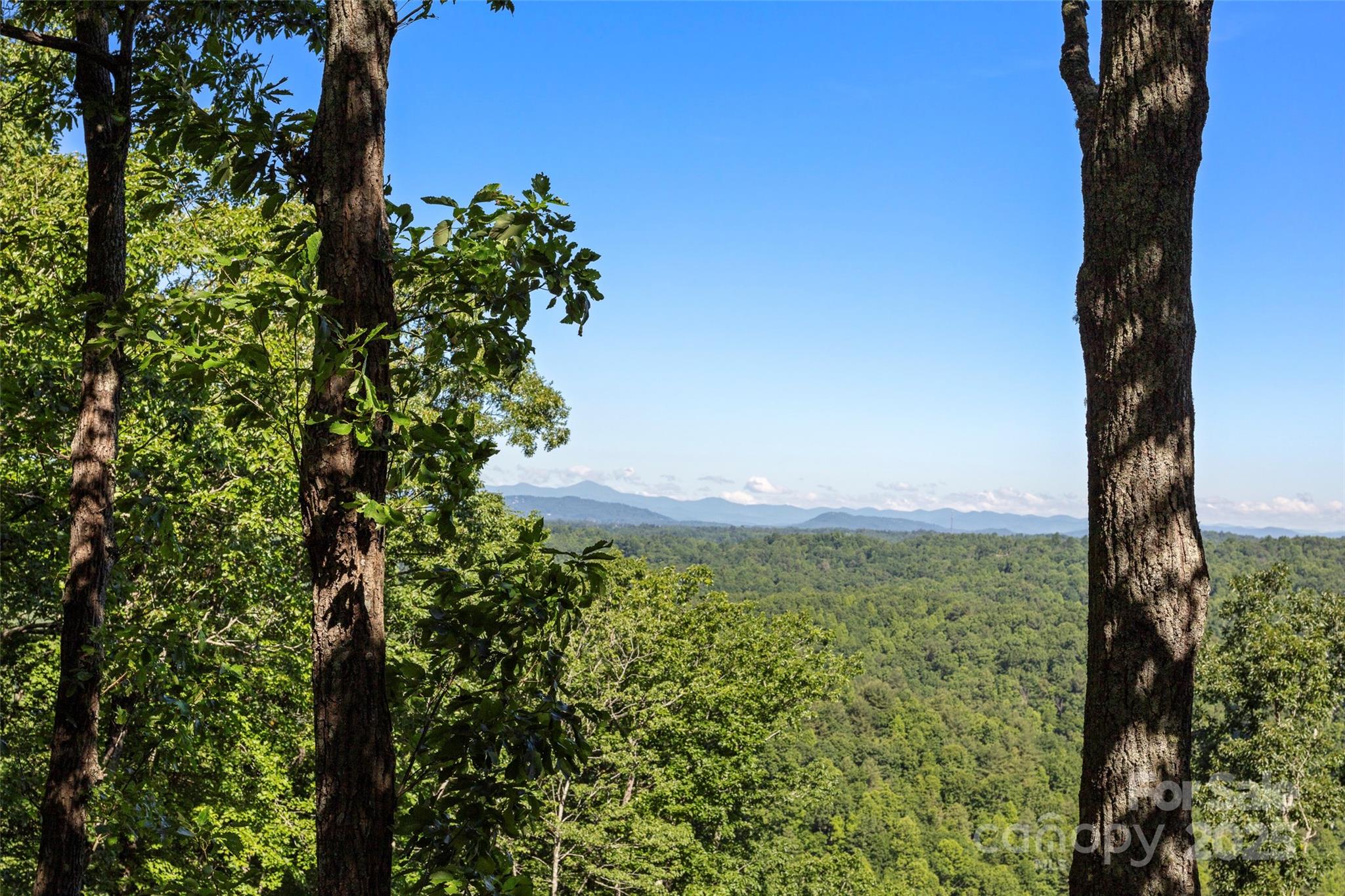 270 Ridge Drive, Saluda, NC. property listing photo