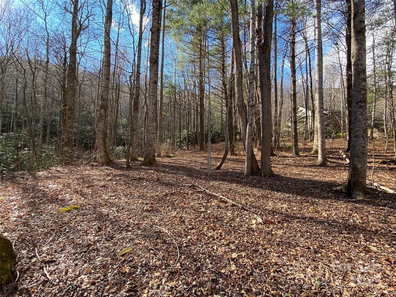 12 Laurel Branch Drive, Black Mountain, NC -  - $125,000