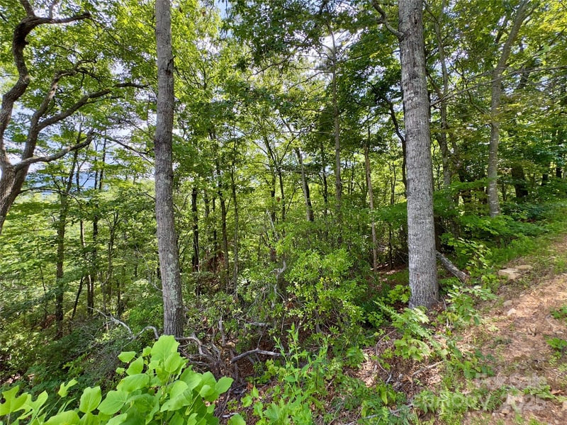 94 Galax Drive T-44, Black Mountain, NC -  - $67,000