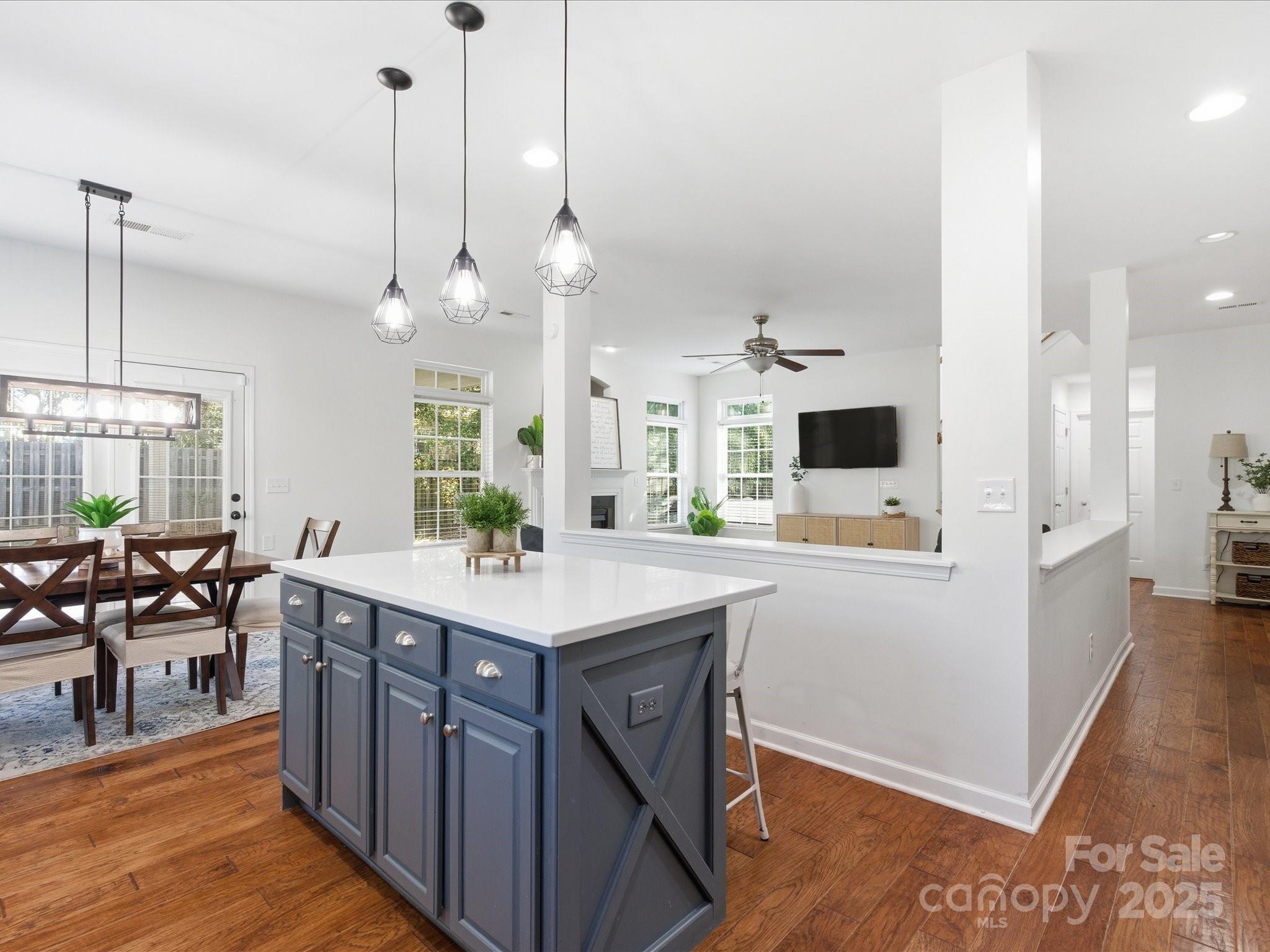229 Pleasant Grove Lane, Mooresville, NC. property listing photo