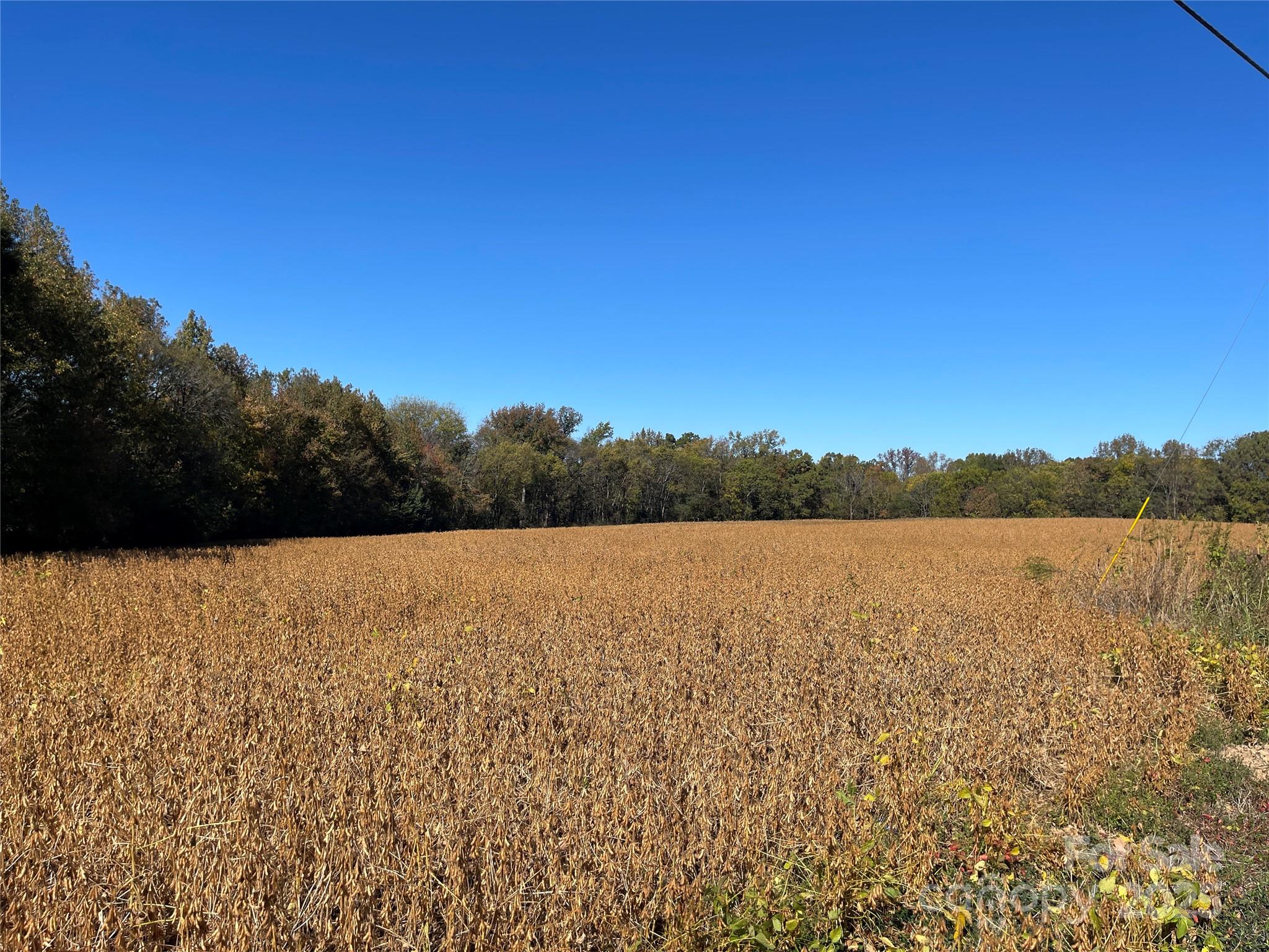 VAC Highway 52 S Highway, Norwood, NC. property listing photo