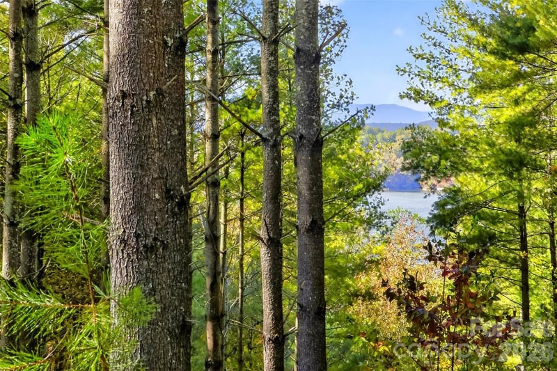 0 West Point Drive, Nebo, NC -  - $675,000