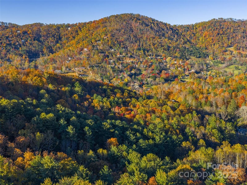 51 Rice Branch Road, Asheville, NC -  - $1,500,000