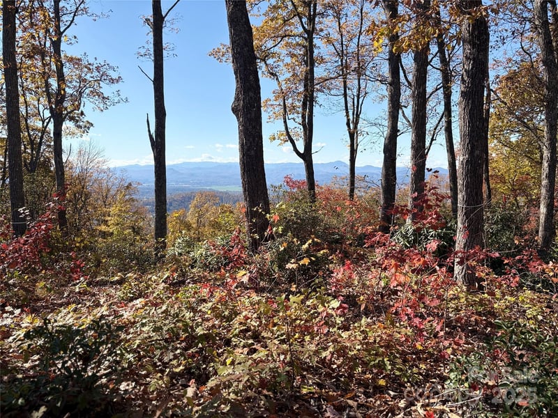 Lot 64 Feather Stone Drive, Fletcher, NC -  - $325,000