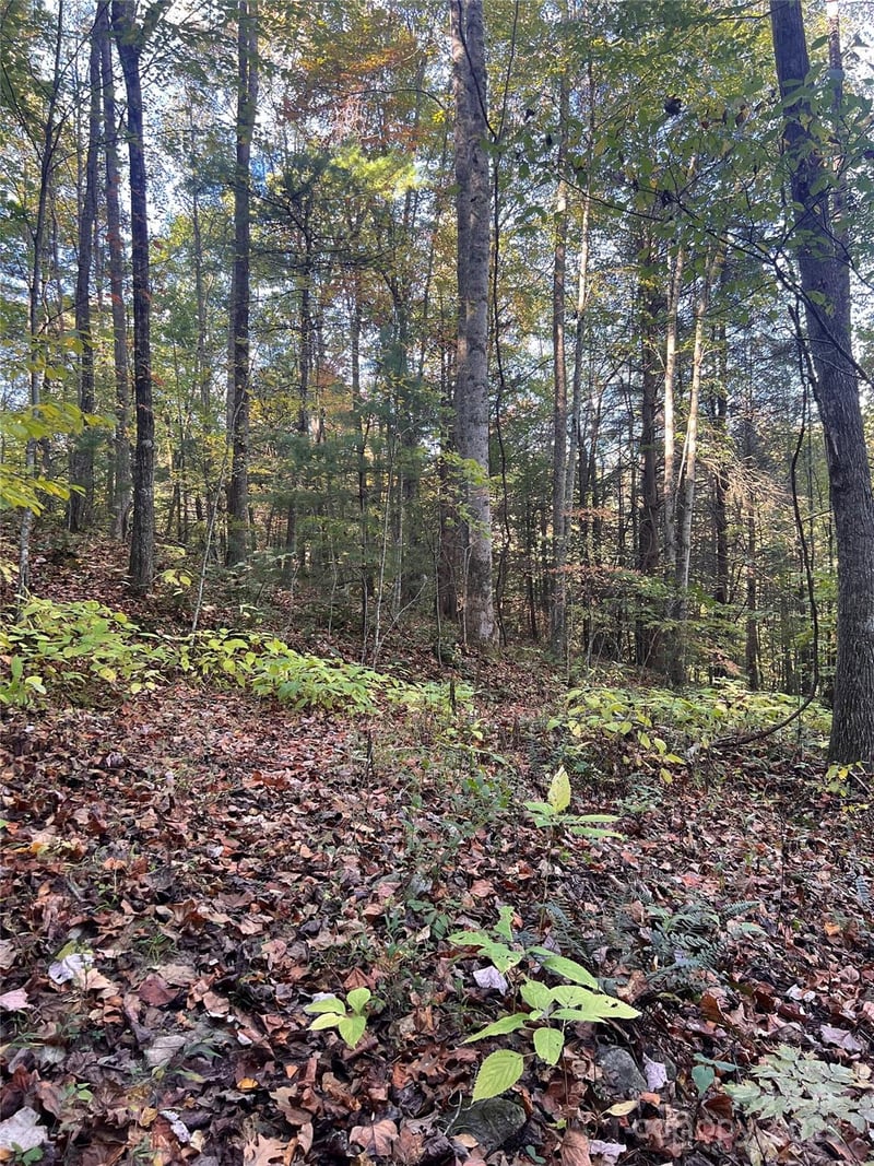 9999 Fox Town Road, Hot Springs, NC -  - $85,000
