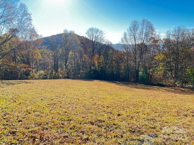 Lot 117 Autumn Sky Drive, Hendersonville, NC -  - $350,000