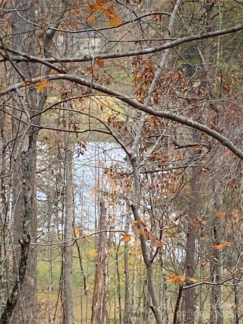 0000 Raleigh Drive 8 & 9, Lake Lure, NC -  - $16,900
