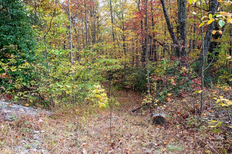 4B LOWER FLAT CREEK Road, Black Mountain, NC -  - $65,500