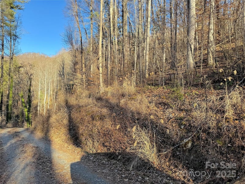 TBD Timberside Drive, Mars Hill, NC -  - $200,000