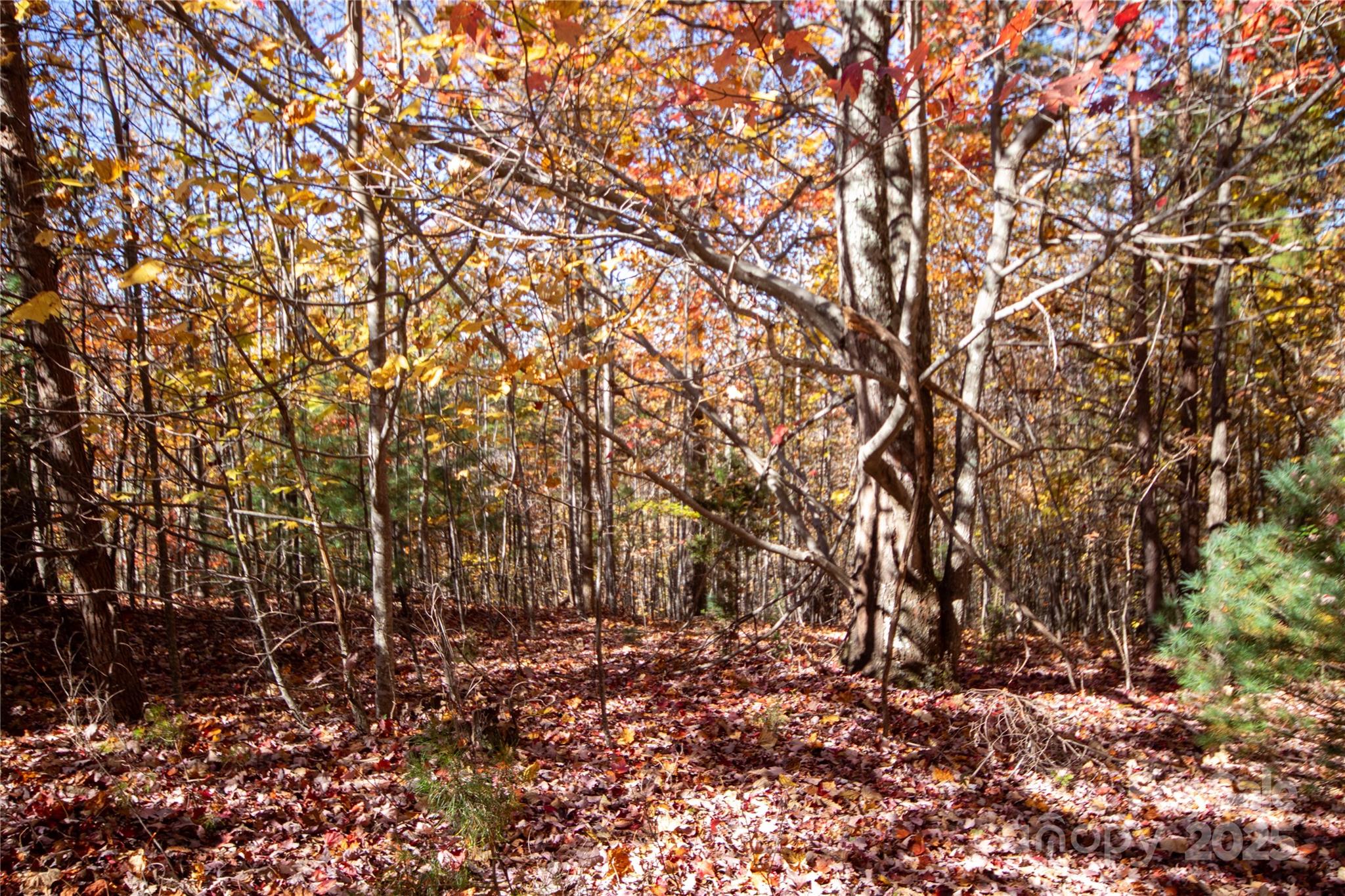 Lot# 4 Peregrine Terrace Apt 4, Lenoir, NC. property listing photo