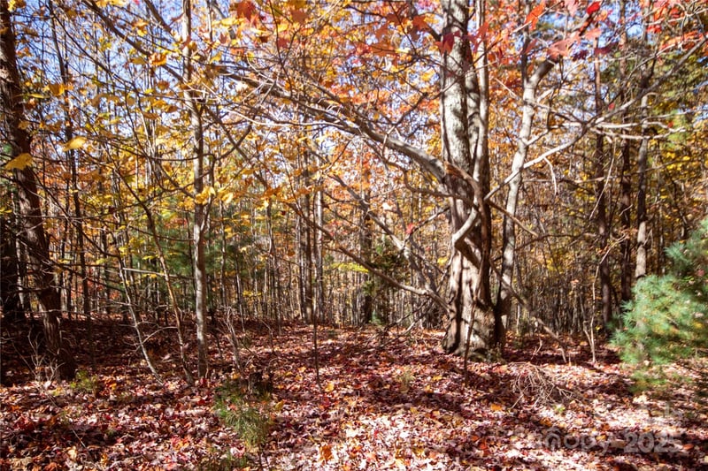 Lot# 4 Peregrine Terrace Apt 4, Lenoir, NC -  - $149,900