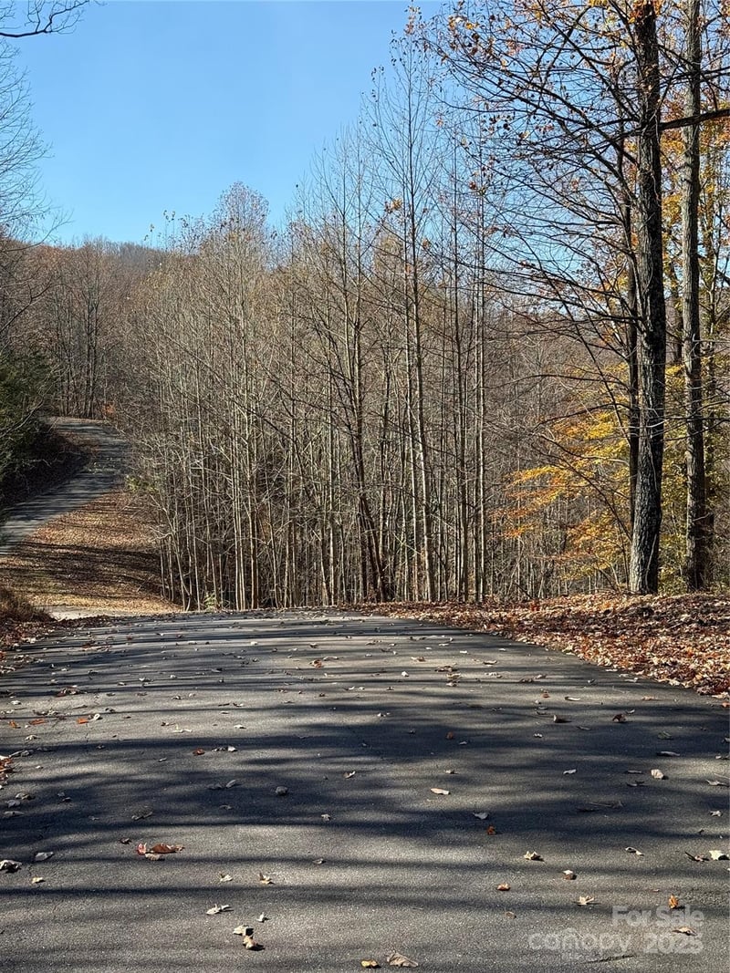 V/L Lot 72 & 170 Black Lark Drive, Marion, NC -  - $52,900