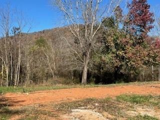 418 owl Hollow Road, Marion, NC -  - $69,000
