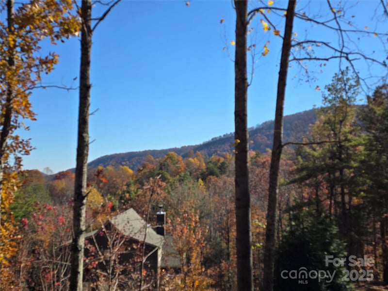 295 S Feather Falls Trail Apt 50, Black Mountain, NC -  - $28,000