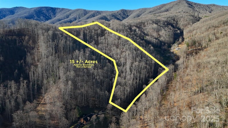 15 +/- Acres Riddle Branch Road, Burnsville, NC -  - $84,500