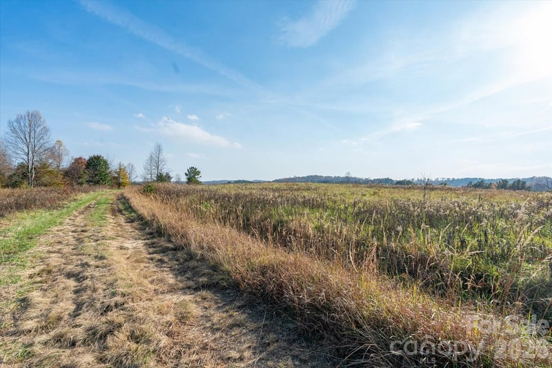 1888 Pea Ridge Road, Mill Spring, NC - 3 beds, 1 bath - $2,999,000