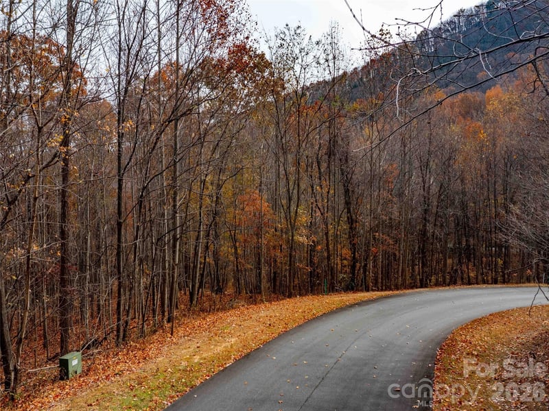 Lot 2110 Harm Creek Loop, Mill Spring, NC -  - $135,000