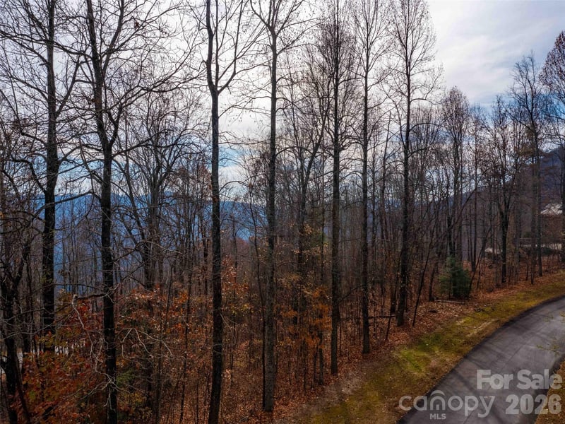 Lot 253 Haddington Drive, Mill Spring, NC -  - $150,000
