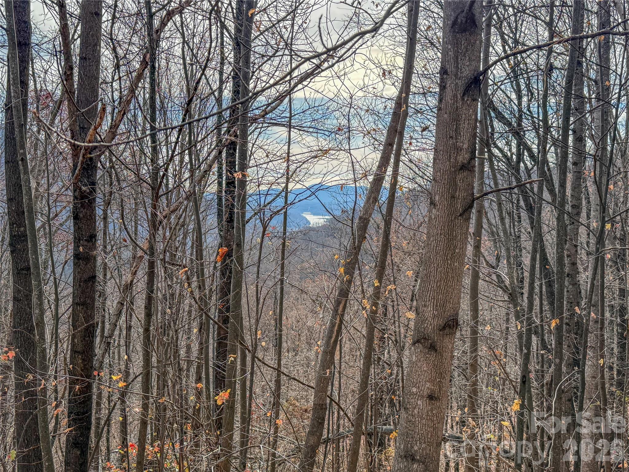 Lot 375 Rolling Ridge Trl, Lake Lure, NC 28746. property listing photo