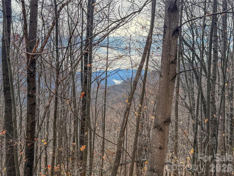 Lot 375 Rolling Ridge Trail, Lake Lure, NC -  - $21,900