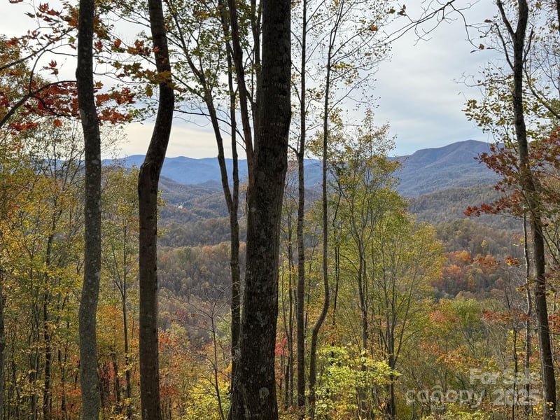 223 Flying Dutchman Road, Sylva, NC -  - $725,000