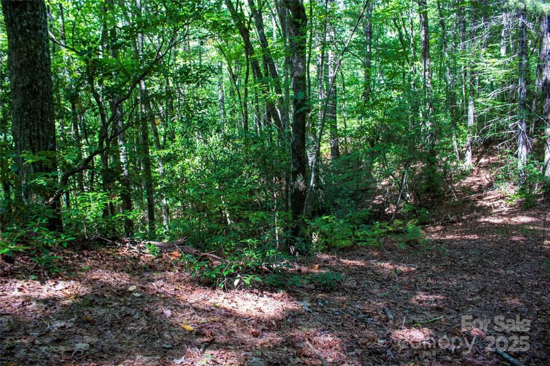 TBD Frozen Creek None Apt 34, Brevard, NC -  - $12,500